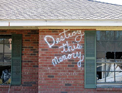 Richard Misrach: Destroy This Memory by Richard Misrach, Richard Misrach, 9781597111638