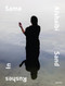 Sama Alshaibi: Sand Rushes In by Sama Alshaibi, Sama Alshaibi, Isabella Ellaheh Hughes, Isabella Ellaheh Hughes, Salwa Mikdadi, Alfredo Cramerotti, 9781597113083