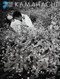 Eikoh Hosoe: Kamaitachi by Eikoh Hosoe, Donald Keene, Shuzo Takiguchi, 9781597111218