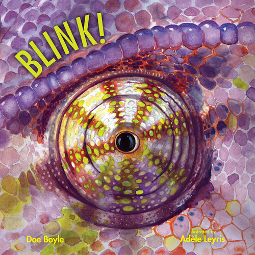 Blink! by Doe Boyle, Adèle Leyris, 9780807506677