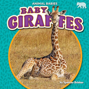 Baby Giraffes - 9781642809565 by Spencer Brinker, 9781642809565