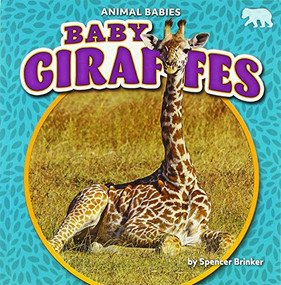 Baby Giraffes - 9781642809633 by Spencer Brinker, 9781642809633