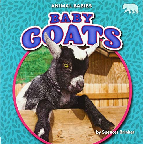 Baby Goats by Spencer Brinker, 9781642809640