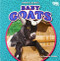 Baby Goats by Spencer Brinker, 9781642809640