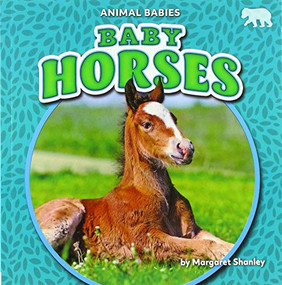 Baby Horses by Margaret Shanley, 9781642809657