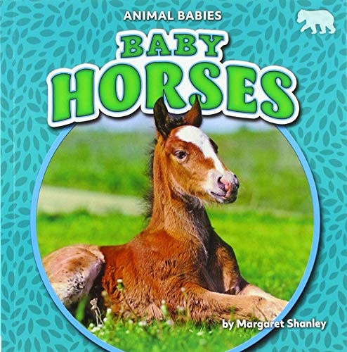 Baby Horses by Margaret Shanley, 9781642809657