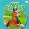 Baby Horses by Margaret Shanley, 9781642809657