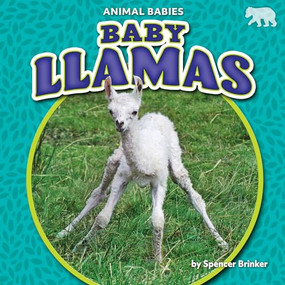 Baby Llamas by Spencer Brinker, 9781642809596