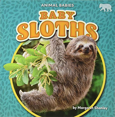 Baby Sloths by Margaret Shanley, 9781642809671
