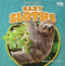 Baby Sloths by Margaret Shanley, 9781642809671
