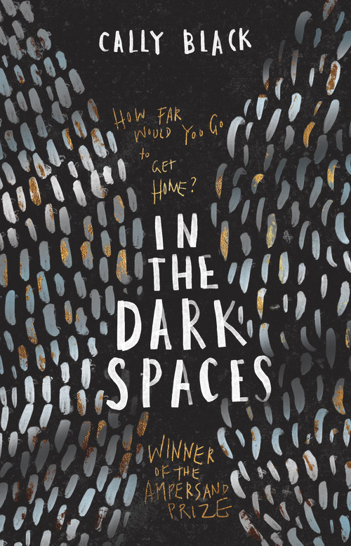 In the Dark Spaces by Cally Black, 9781760128647