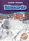 Blizzards - 9781626174634 by Kay Manolis, Keith McCarthy, 9781626174634