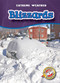 Blizzards - 9781600141836 by Keith McCarthy, Kay Manolis, 9781600141836