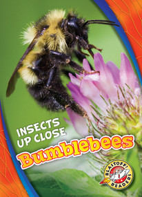 Bumblebees - 9781626178014 by Patrick Perish, 9781626178014