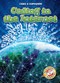 Coding in the Internet by Elizabeth Noll, Keith McCarthy, 9781626178342