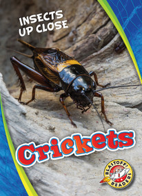 Crickets - 9781626178038 by Patrick Perish, 9781626178038