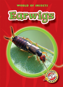 Earwigs by Colleen Sexton, 9781600141911