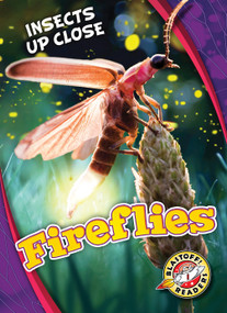 Fireflies - 9781626176645 by Christina Leaf, 9781626176645