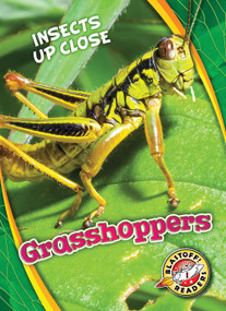 Grasshoppers - 9781626176652 by Patrick Perish, 9781626176652