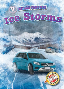 Ice Storms - 9781644871522 by Rebecca Pettiford, 9781644871522