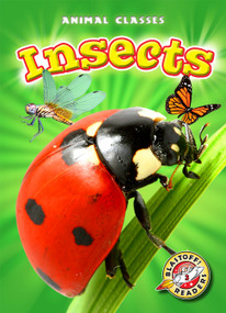 Insects - 9781600148408 by Mandy Kaplan, Kari Schuetz, 9781600148408