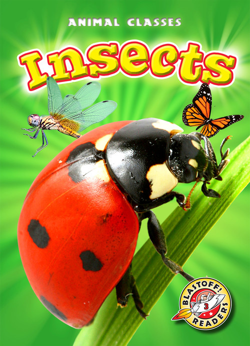 Insects - 9781600148408 by Mandy Kaplan, Kari Schuetz, 9781600148408