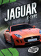 Jaguar F-Type by Nathan Sommer, 9781644870105