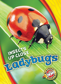 Ladybugs - 9781626176676 by Christina Leaf, 9781626176676
