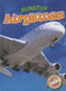 Monster Airplanes by Chris Bowman, 9781626170520