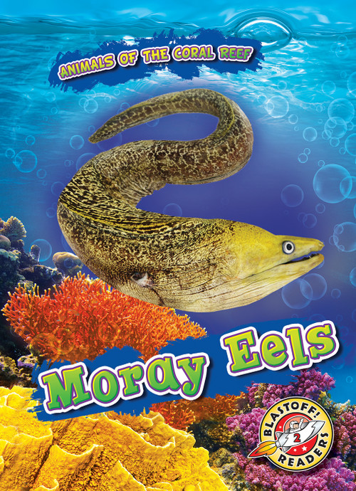 Moray Eels - 9781644871324 by Lindsay Shaffer, 9781644871324