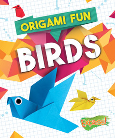 Origami Fun: Birds by Robyn Hardyman, 9781626177086