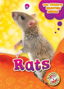 Rats by Joanne Mattern, 9781644872420
