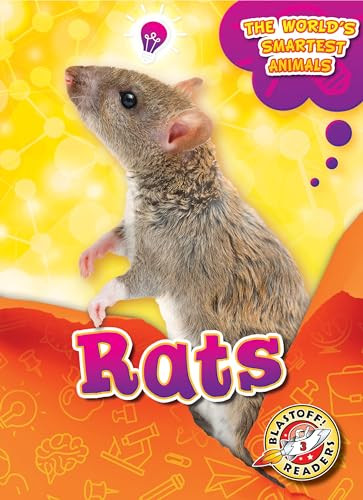 Rats by Joanne Mattern, 9781644872420