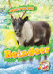 Reindeer by Rebecca Pettiford, Dana Fleming, 9781626179394
