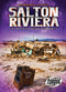 Salton Riviera (The Deserted Resort Community) by Lisa Owings, 9781644871638
