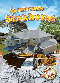 Sinkholes - 9781644871539 by Rebecca Pettiford, 9781644871539