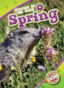 Spring - 9781618913029 by Rebecca Pettiford, 9781618913029