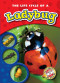 The Life Cycle of a Ladybug - 9781600145254 by Mandy Kaplan, Colleen Sexton, 9781600145254