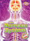 The Nervous System - 9781644870211 by Rebecca Pettiford, 9781644870211