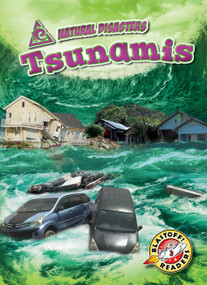 Tsunamis - 9781618917492 by Betsy Rathburn, 9781618917492