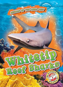 Whitetip Reef Sharks by Lindsay Shaffer, 9781644871362