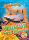 Whitetip Reef Sharks by Lindsay Shaffer, 9781644871362
