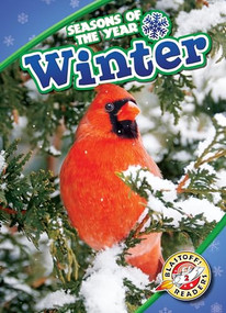 Winter - 9781618913043 by Rebecca Pettiford, 9781618913043