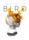 Bird - 9781927018644 by Beatriz  Martin Vidal, 9781927018644