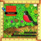Backyard - 9780070579309 by Patricia Wynne, Donald M. Silver, 9780070579309