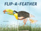 Flip-a-Feather (Make Your Own Wacky Bird!) by Sara Ball, 9780789213822