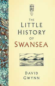 The Little History of Swansea by David Gwynn, 9780750993074