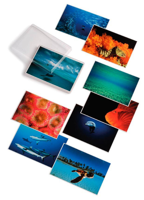 Water Light Time - 9780714842271 by David Doubilet, 9780714842271