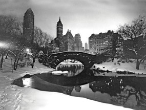 New York Times Gapstow Bridge Boxed Holiday Full Notecards by Galison, New York Times, 9780735341425