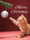 Christmas Kitty Boxed Holiday Full Notecards by Galison, Martin Poole, Getty Images, 9780735344457
